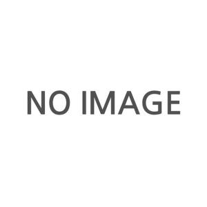 한성  체인블럭부품 브레이크 2.0Ton WE31D42