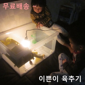 우성테크  이쁜이 육추기  메추리집.병아리집.병아리육추기