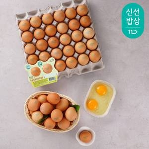 아주농장 난각번호1번 방목 유정란 60구