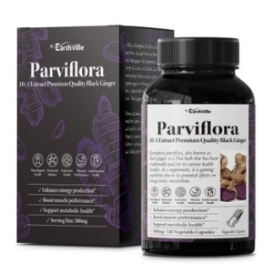 어스빌 파비플로라 흑생강 블랙진저 500mg 120캡슐