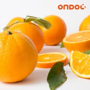 온도씨  달콤가득 미국산 네이블 오렌지 56~113과 18kg내외