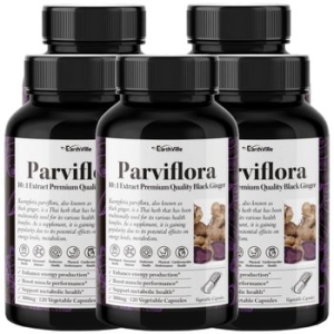 어스빌 파비플로라 흑생강 블랙진저 500mg 120캡슐