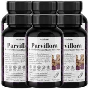 어스빌 파비플로라 흑생강 블랙진저 500mg 120캡슐