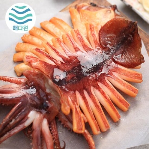 해다원  국내가공 해를품은 반건조오징어 대10미 1.1kg
