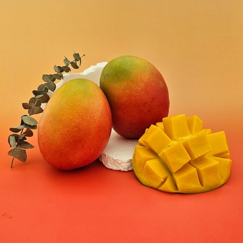 애플리아 프리미엄 애플망고 5-6과