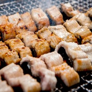 대풍  자포니카 민물장어 1kg 손질후 500~550g