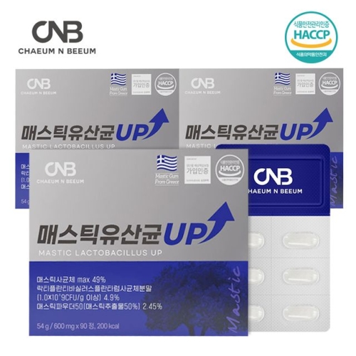 뉴트리션바이오 채움앤비움 매스틱 유산균 UP 90정