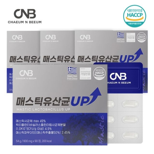 뉴트리션바이오 채움앤비움 매스틱 유산균 UP 90정