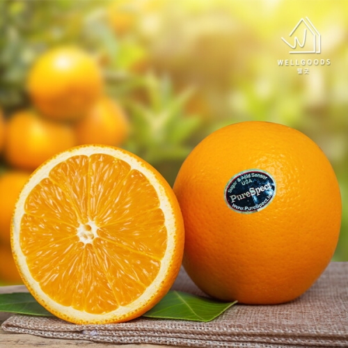 웰굿 퓨어스팩 블랙라벨 오렌지 개당220g내외