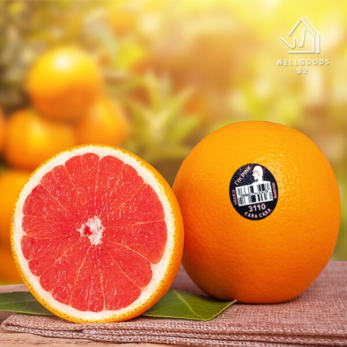 웰굿  카라카라 레드 오렌지 개당220g내외
