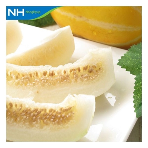 성주참외원예농협  성주 참외 6~15과 3kg