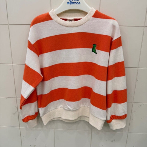 리틀밥독 미니디노T/S H243MTS06_JK