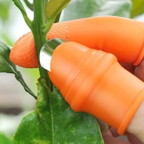 오너클랜  야채 껍질 벗기기용 골무 엄지칼2종 마늘 WFG7GE4