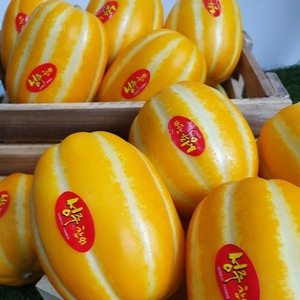 푸드박스 성주 참외 실속형 랜덤과 혼합 4.5kg