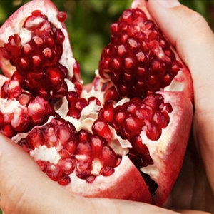 석류 /냉동석류  선택구매