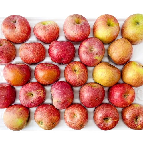 당찬  경북 못난이 햇사과 가정용 부사 30~65입 10kg