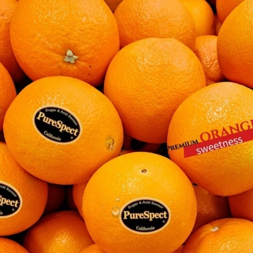 퓨어스펙  블랙라벨 고당도 오렌지 17kg 대과 중과 중소과 대용량 특집