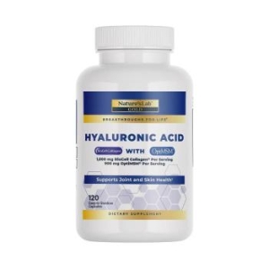 네이처스랩 히알루론산 옵티 MSM 120정