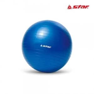 STAR  마사지 미니 짐볼 블루 45cm_20739654