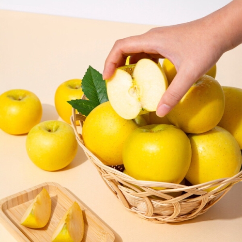 더조은푸드  황금사과 시나노골드 주스용 랜덤과 6kg