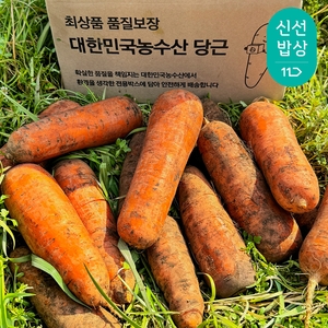 대한민국농수산  제주 구좌 흙당근 주스용 못난이 3kg