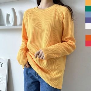 YAN 1038W 여자오버핏무지개하찌니트티 WB7714235137643