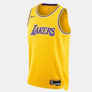 나이키 NBA 로스 엔젤레스 레이커스 2022/23 아이콘 에디션 DN2140-728