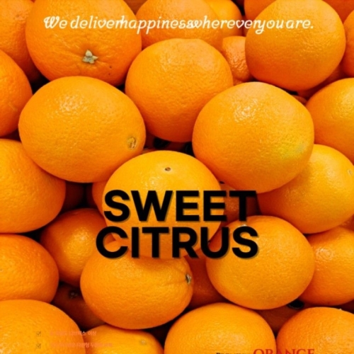 퓨어스펙  블랙라벨 고당도 오렌지 17kg외 대용량 중소과 150g내외 특집