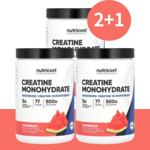뉴트리코스트 크레아틴 일수화물 수박 500g