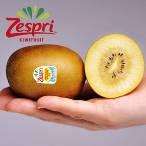 웰굿  뉴질랜드 제스프리 골드키위 26과내외 점보과 4kg