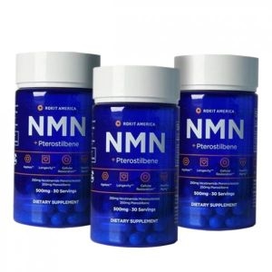 로킷아메리카 NMN 프테로스틸벤 60캡슐