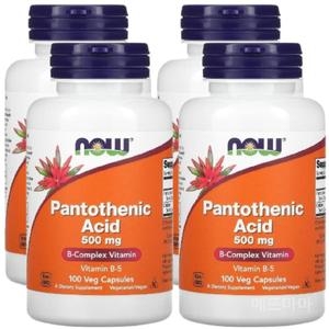 나우푸드 판토텐산 500mg 100캡슐