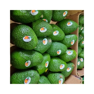 아보카도  대과 입 개당 내외 최상급 프리미엄 SUPER