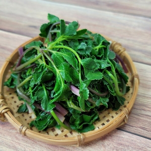 하늘농가  국산 방풍나물 생데친 1Kg 바다바람을 맞고 자란 해방풍