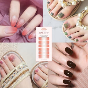 유행백서 페디패치