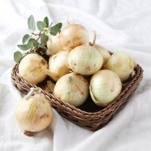 일광영농조합법인  맛난이 햇양파 망 2kg