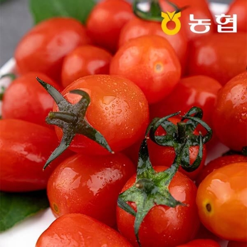 사과랑 자연맛남 농협선별 부여 대추방울토마토 2kg 1-3번 굿뜨래