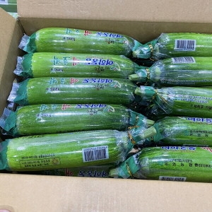 대박농수산  국내산 가정용 못난이 애호박 인큐 인큐애호