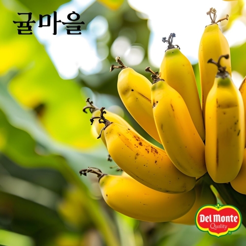 델몬트  바나나  3.9kg내외