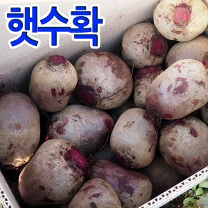 풀내음농원  국산 비트뿌리 4kg [1개]