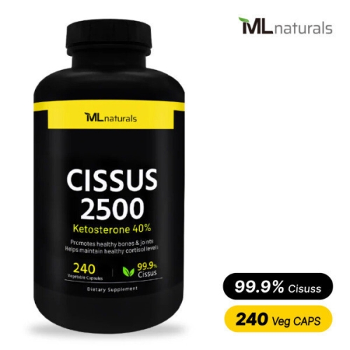 마이라이프 시서스 2500mg 240캡슐