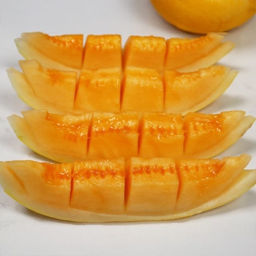 장보리  국내산 고령 골드 하미과 고당도 메론 2kg