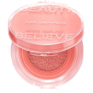 정샘물 아티스트 쿠션 블러쉬 4g