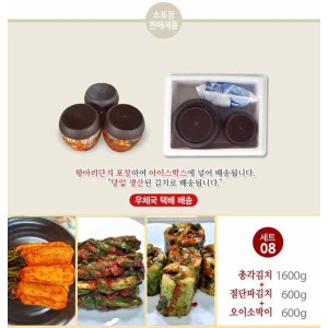 태백고원김치 세트8 총각김치파김치오이소박이