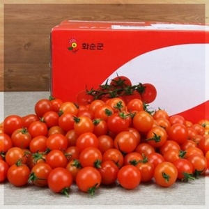농협청과33번 방울토마토 3~4번 5kg