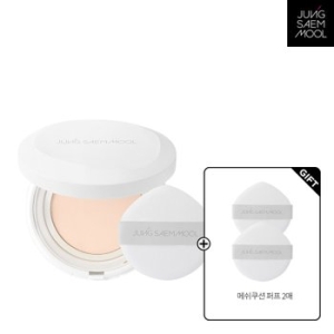 정샘물 프로래스팅 결핏 메쉬 쿠션 14g