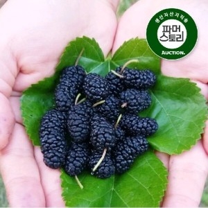 두승산골농장  2025 전북 정읍 김수미님의 햇오디 5kg