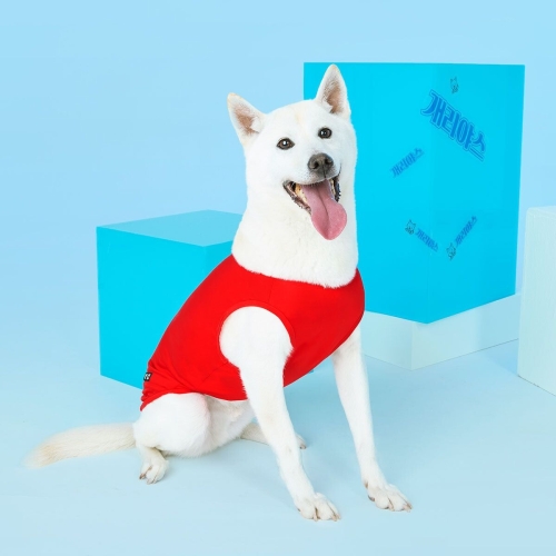 BYC 개리야스 보디드라이 썸머 쿨런닝 S~6XL