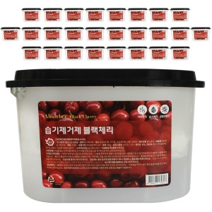 스카이코리아 습기제거제 블랙체리 280g