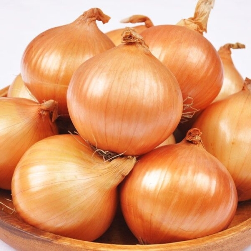 푸르젠 25년산 햇양파 3kg